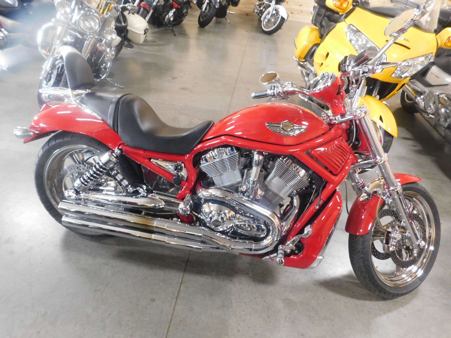 2003 Harley-Davidson VRSCA  V-Rod® in Sauk Rapids, Minnesota - Photo 1