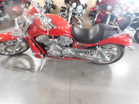 2003 Harley-Davidson VRSCA  V-Rod® in Sauk Rapids, Minnesota - Photo 3