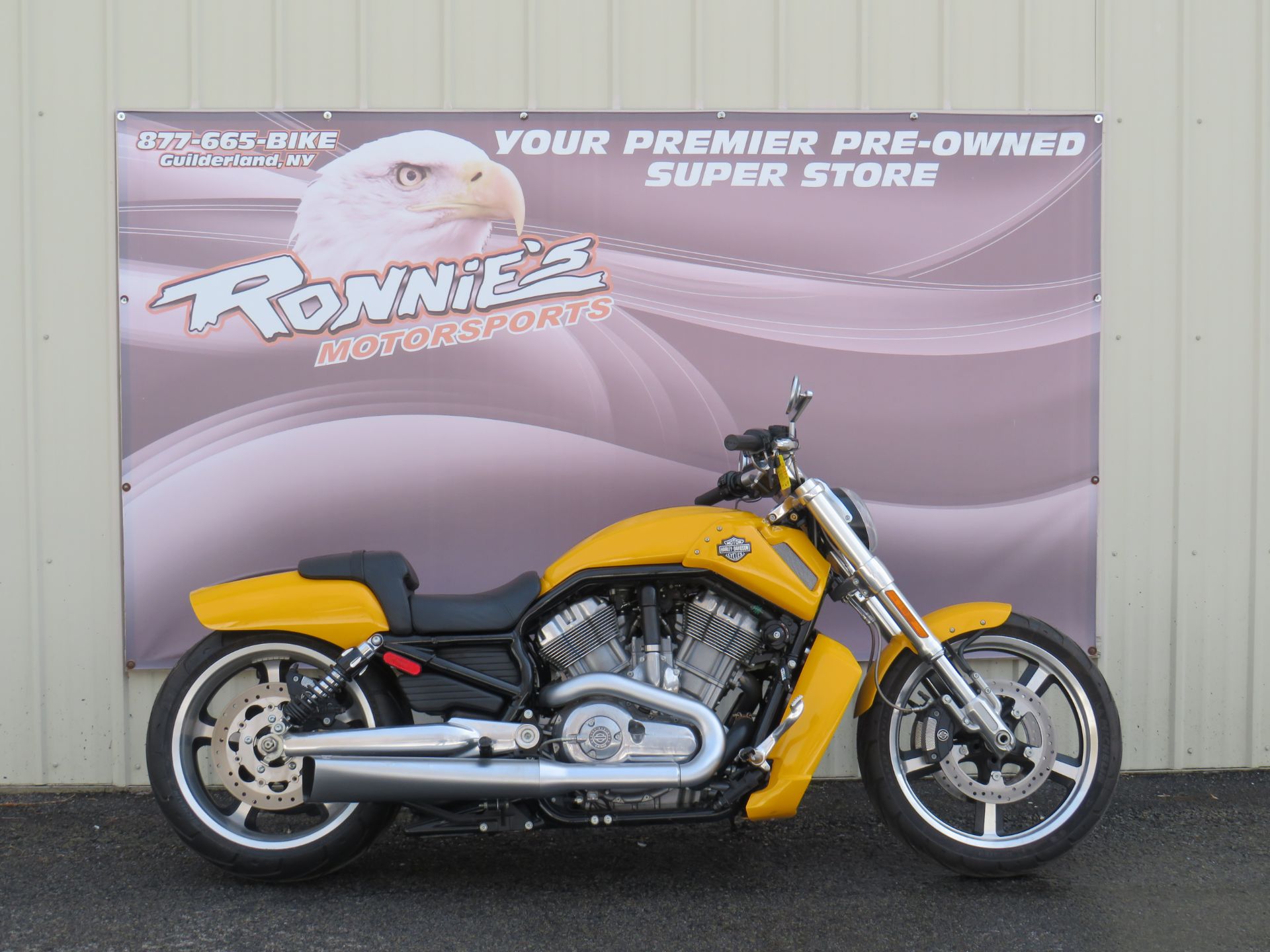 2011 Harley-Davidson V-Rod Muscle® in Guilderland, New York - Photo 1