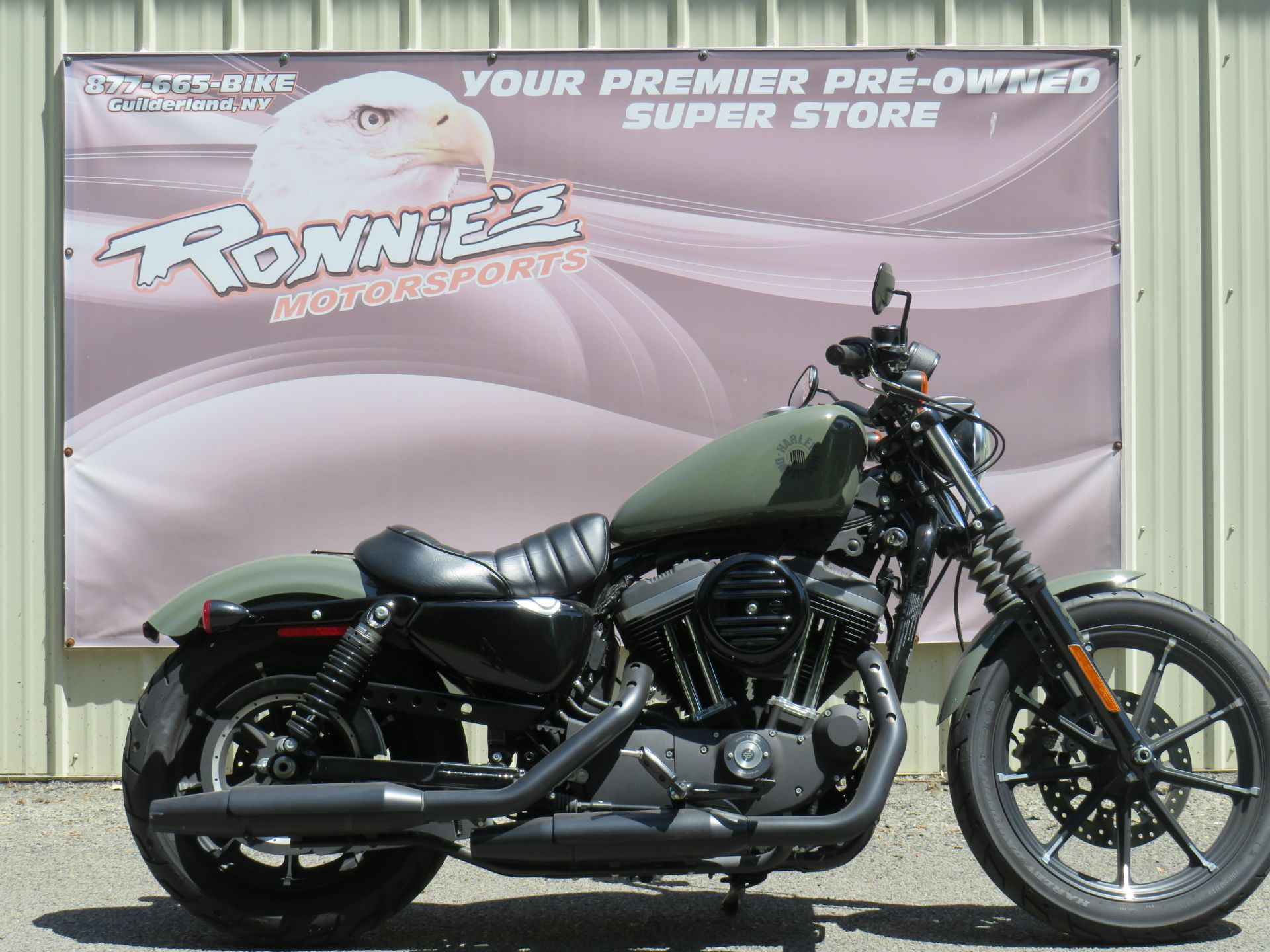 2021 Harley-Davidson Iron 883™ in Guilderland, New York - Photo 1
