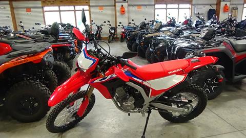 2024 Honda CRF300L in Bennington, Vermont - Photo 1