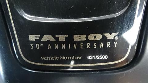 2020 Harley-Davidson Fat Boy® 114 30th Anniversary Limited Edition in Bennington, Vermont - Photo 12