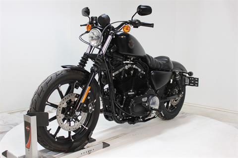 2019 Harley-Davidson Iron 883™ in Pittsfield, Massachusetts - Photo 8