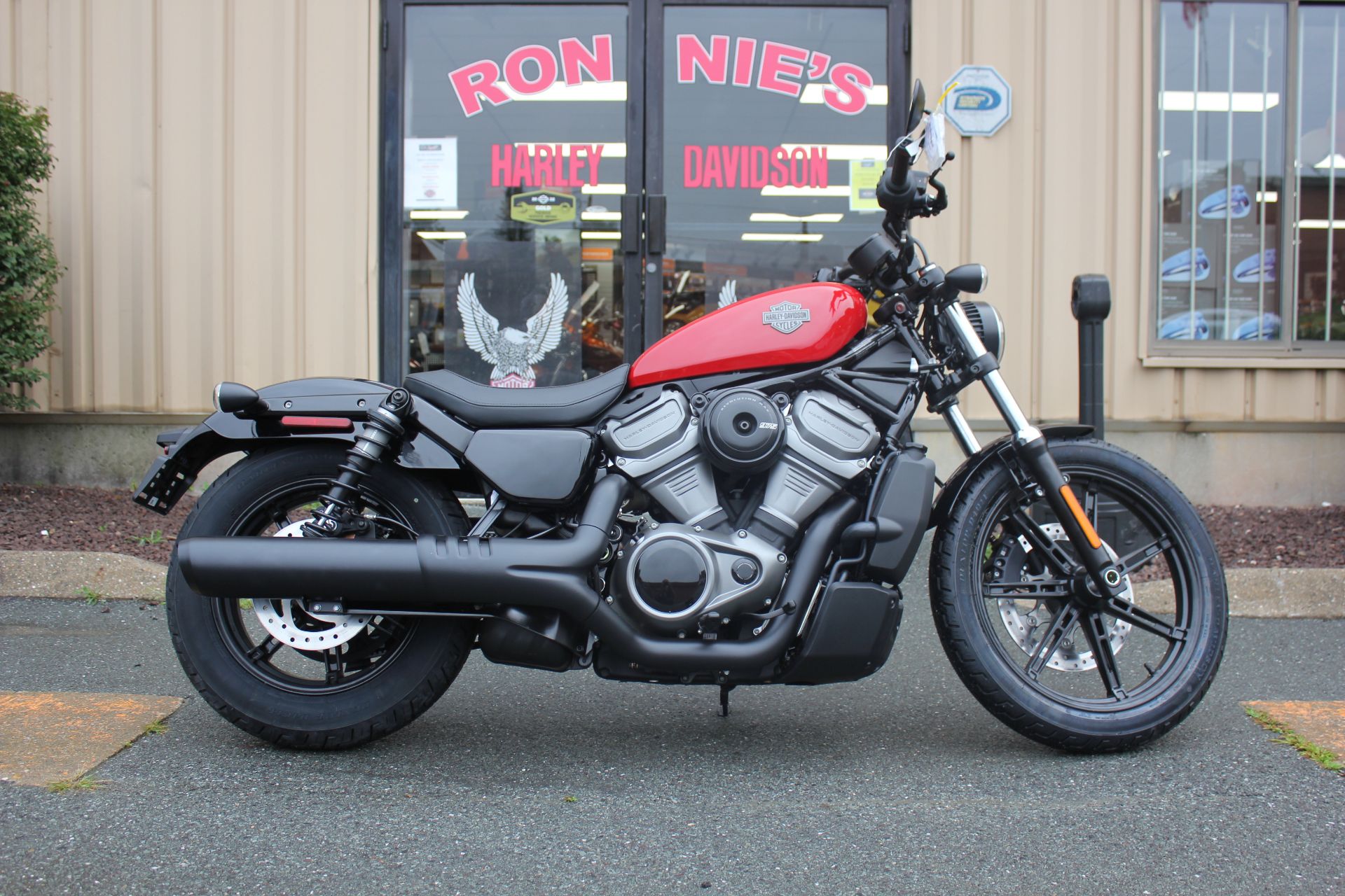2023 Harley-Davidson Nightster® in Pittsfield, Massachusetts - Photo 5