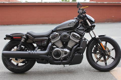2022 Harley-Davidson Nightster™ in Pittsfield, Massachusetts - Photo 5