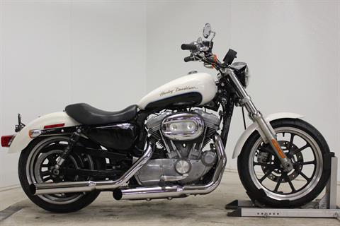 2013 Harley-Davidson Sportster® 883 SuperLow® in Pittsfield, Massachusetts - Photo 1