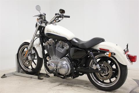 2013 Harley-Davidson Sportster® 883 SuperLow® in Pittsfield, Massachusetts - Photo 6