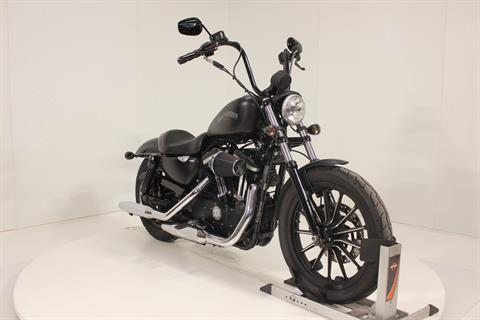 2014 Harley-Davidson Sportster® Iron 883™ in Pittsfield, Massachusetts - Photo 6