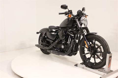 2021 Harley-Davidson Iron 883™ in Pittsfield, Massachusetts - Photo 7