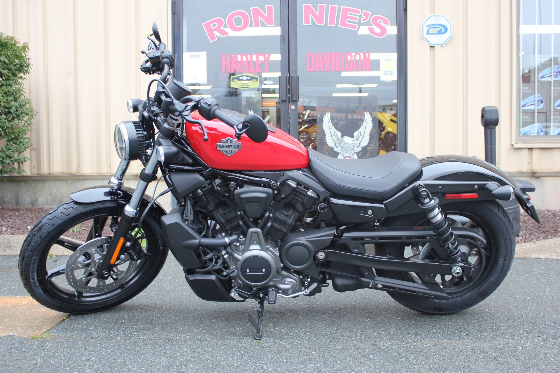 2023 Harley-Davidson Nightster® in Pittsfield, Massachusetts - Photo 1