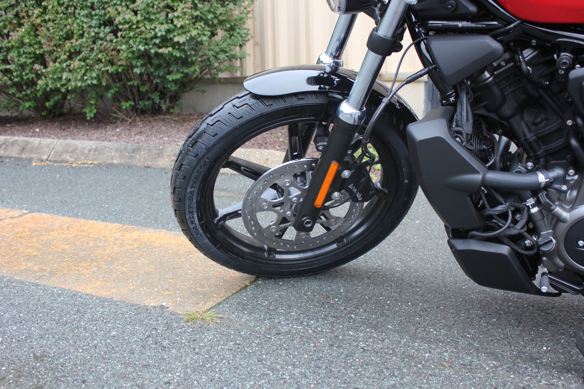 2023 Harley-Davidson Nightster® in Pittsfield, Massachusetts - Photo 9