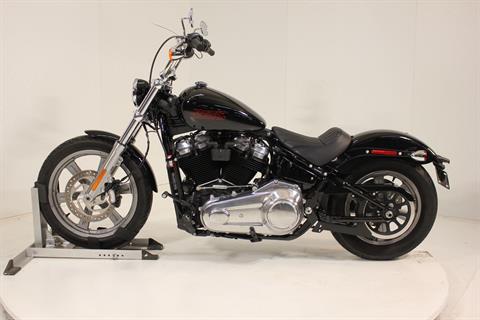 2023 Harley-Davidson Softail® Standard in Pittsfield, Massachusetts