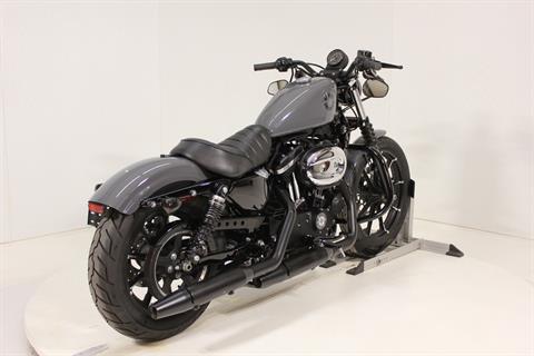 2022 Harley-Davidson Iron 883™ in Pittsfield, Massachusetts - Photo 4