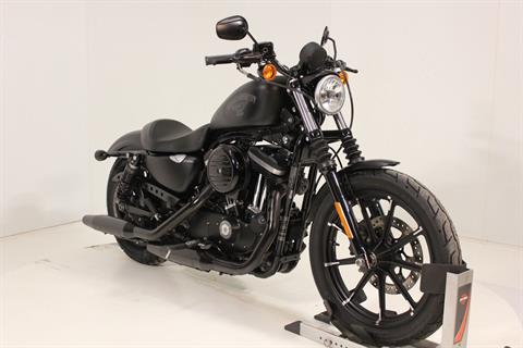 2017 Harley-Davidson Iron 883™ in Pittsfield, Massachusetts - Photo 6