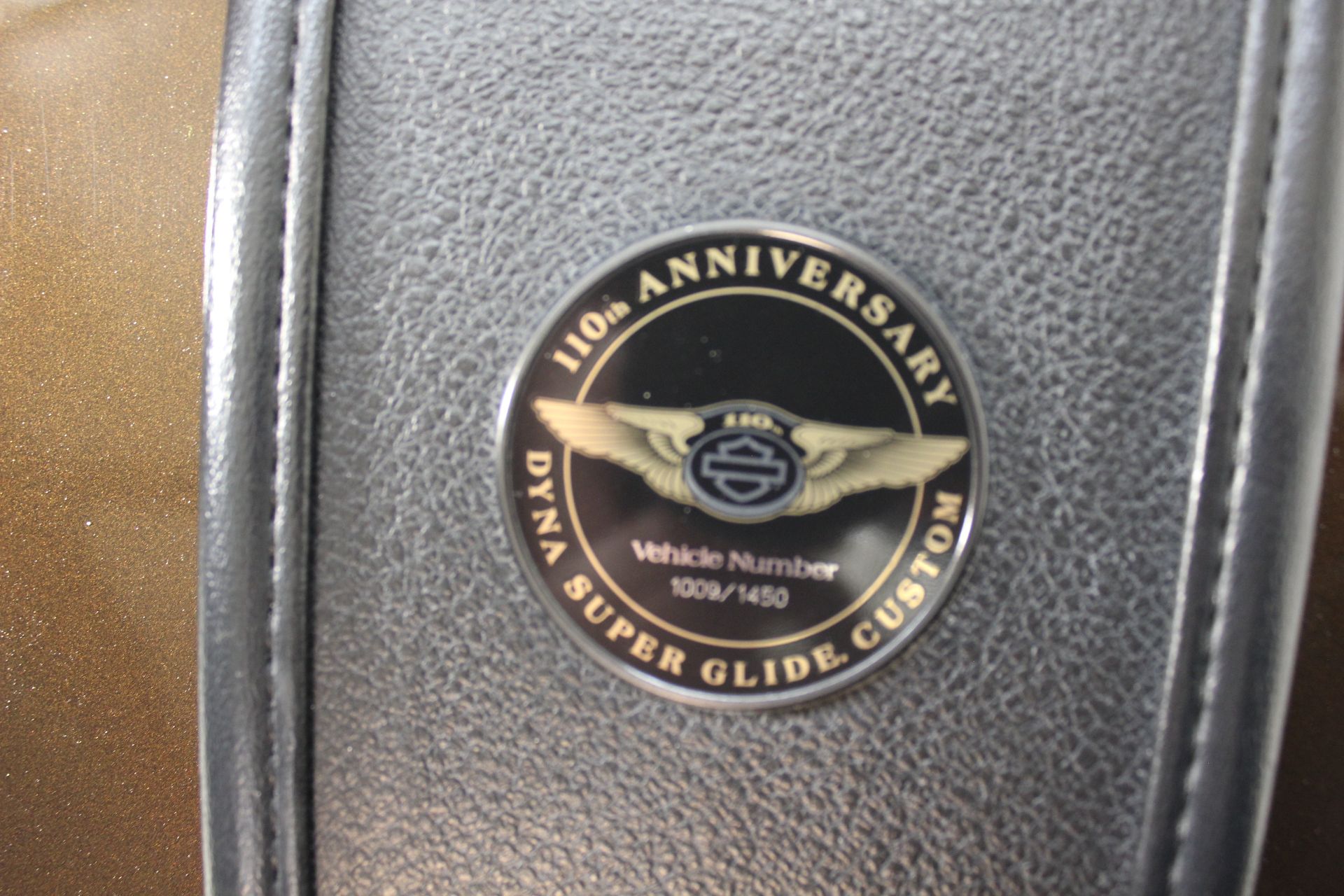 2013 Harley-Davidson Dyna® Super Glide® Custom 110th Anniversary Edition in Pittsfield, Massachusetts - Photo 19