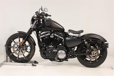 2021 Harley-Davidson Iron 883™ in Pittsfield, Massachusetts - Photo 1