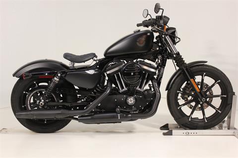 2021 Harley-Davidson Iron 883™ in Pittsfield, Massachusetts - Photo 5