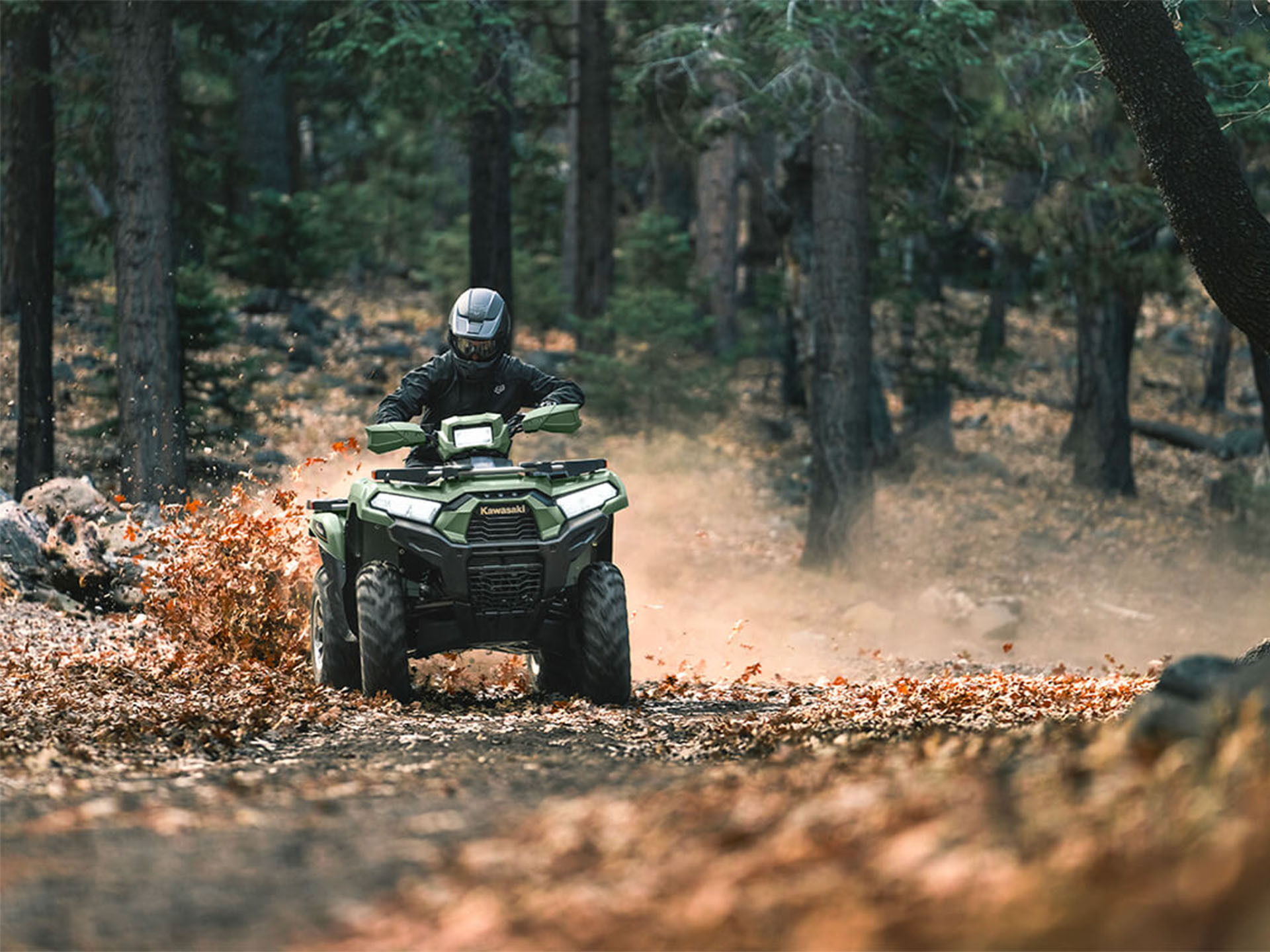 2024 Kawasaki Brute Force 750 LE EPS in North Mankato, Minnesota - Photo 9