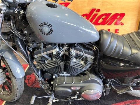 2022 Harley-Davidson Iron 883™ in Wilmington, Delaware - Photo 7