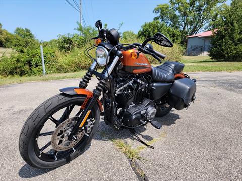 2020 Harley-Davidson Iron 883™ in Xenia, Ohio - Photo 4