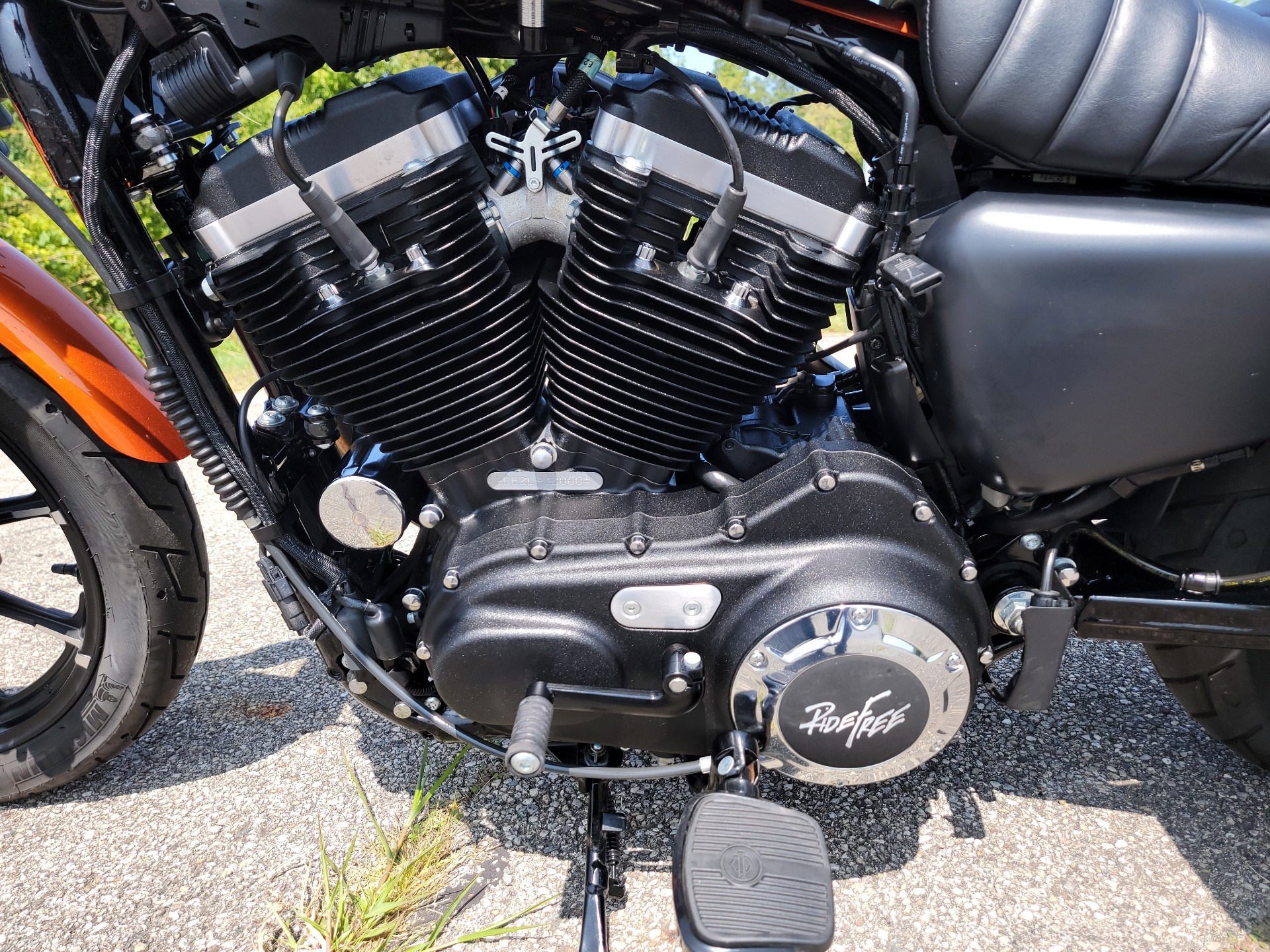 2020 Harley-Davidson Iron 883™ in Xenia, Ohio - Photo 10