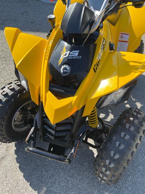 2017 Can-Am DS 250 in Cochranville, Pennsylvania - Photo 2