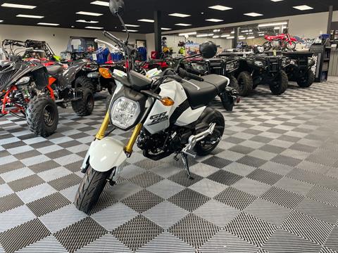 2025 Honda Grom in Medford, Wisconsin - Photo 1