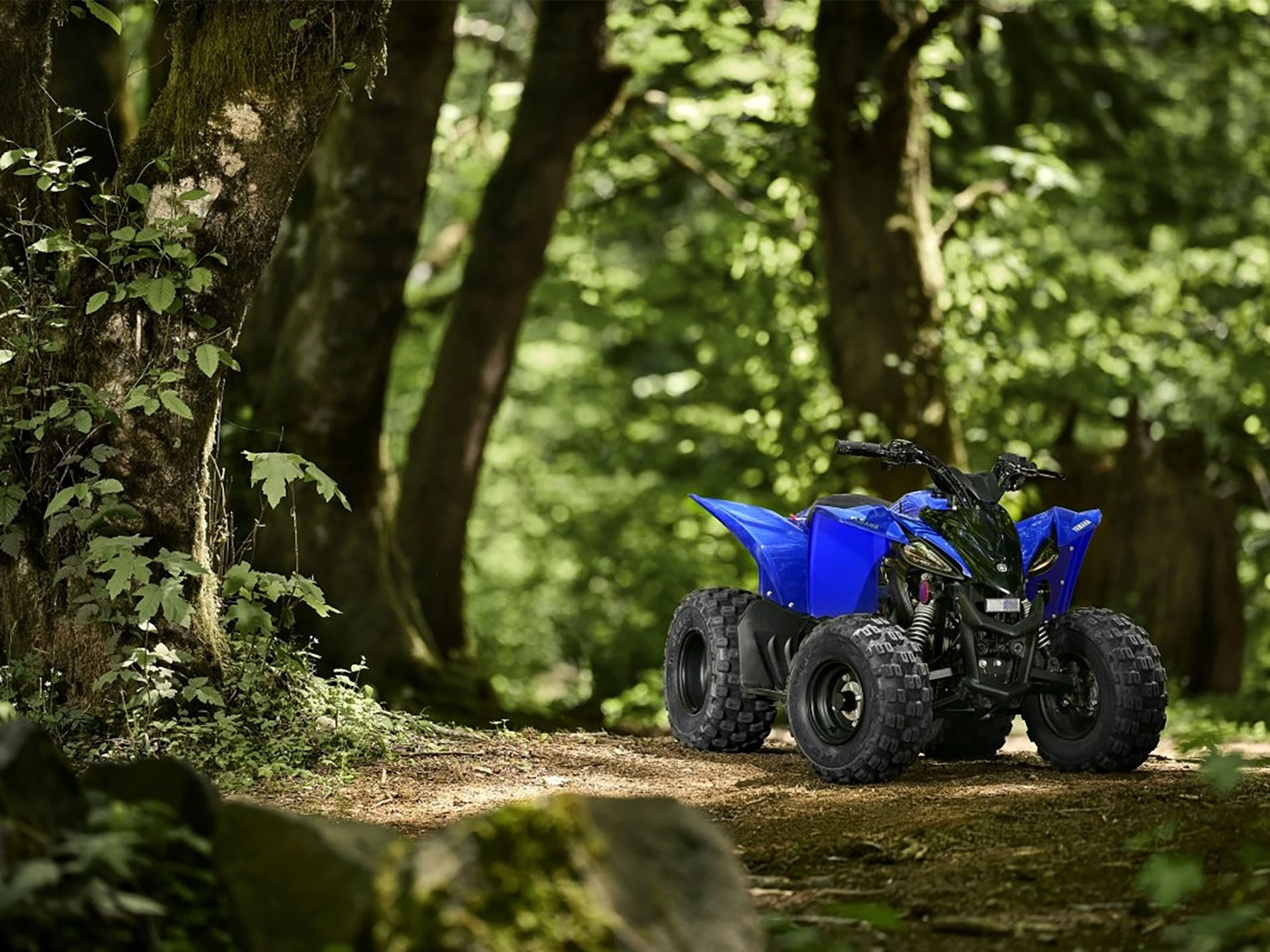 2025 Yamaha YFZ50 in Bear, Delaware - Photo 7