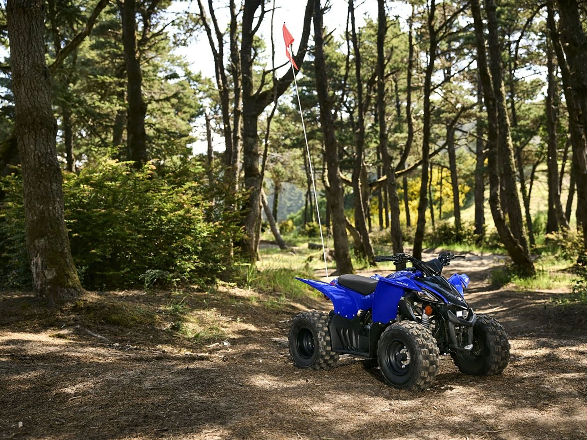 2025 Yamaha YFZ50 in Bear, Delaware - Photo 13