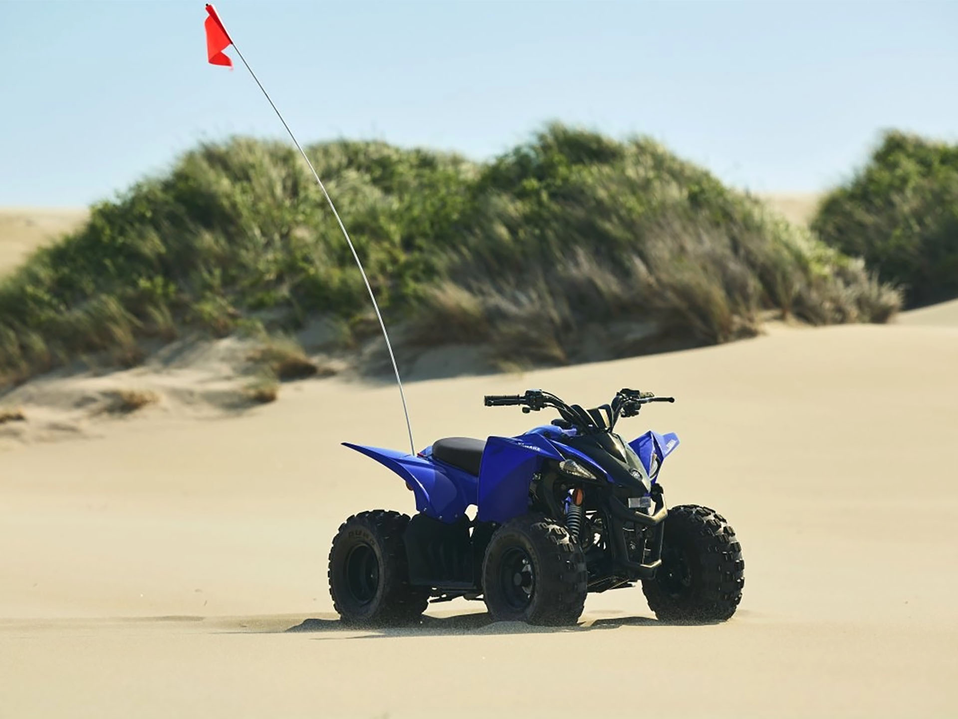 2025 Yamaha YFZ50 in Bear, Delaware - Photo 15