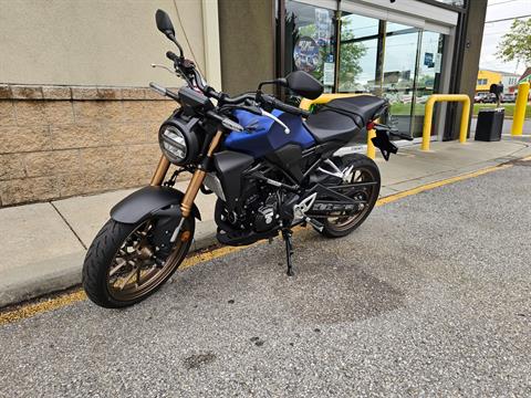 2022 Honda CB300R ABS in Bear, Delaware