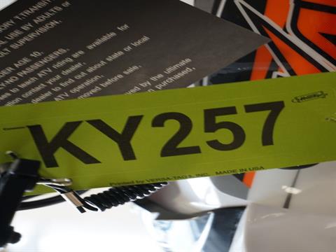 2021 Kayo Predator 125 in Everett, Pennsylvania - Photo 10