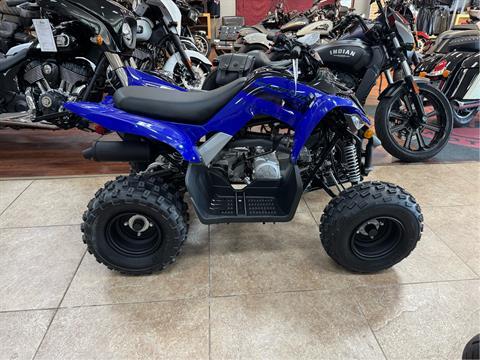 2025 Yamaha Raptor 110 in Mineola, New York - Photo 1