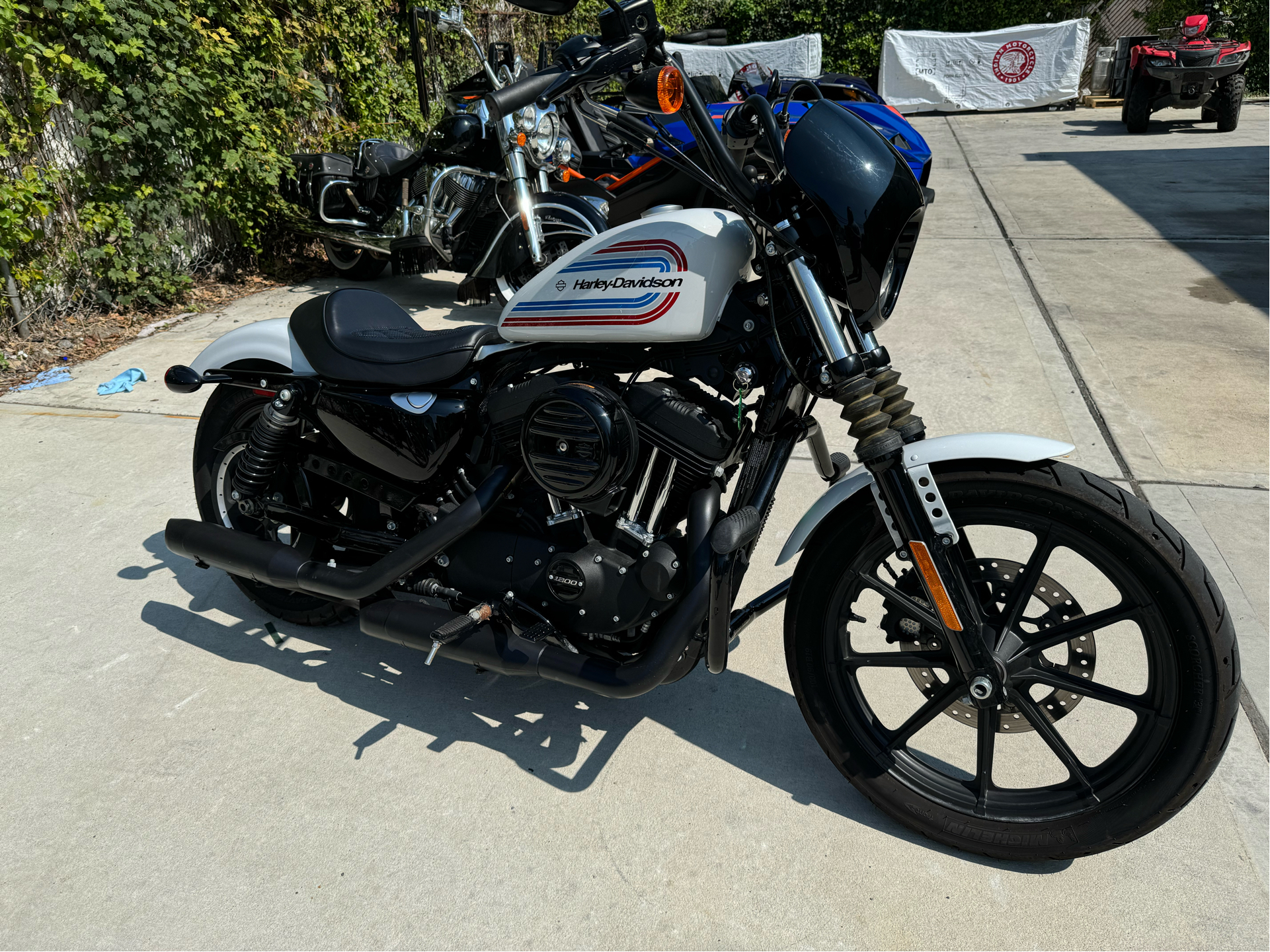 2021 Harley-Davidson Iron 1200™ in Mineola, New York - Photo 1