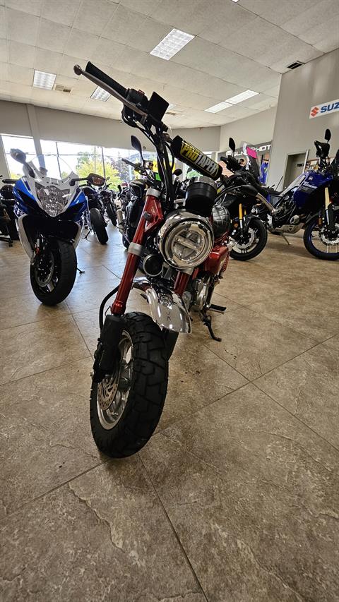 2019 Honda Monkey in Mineola, New York - Photo 3