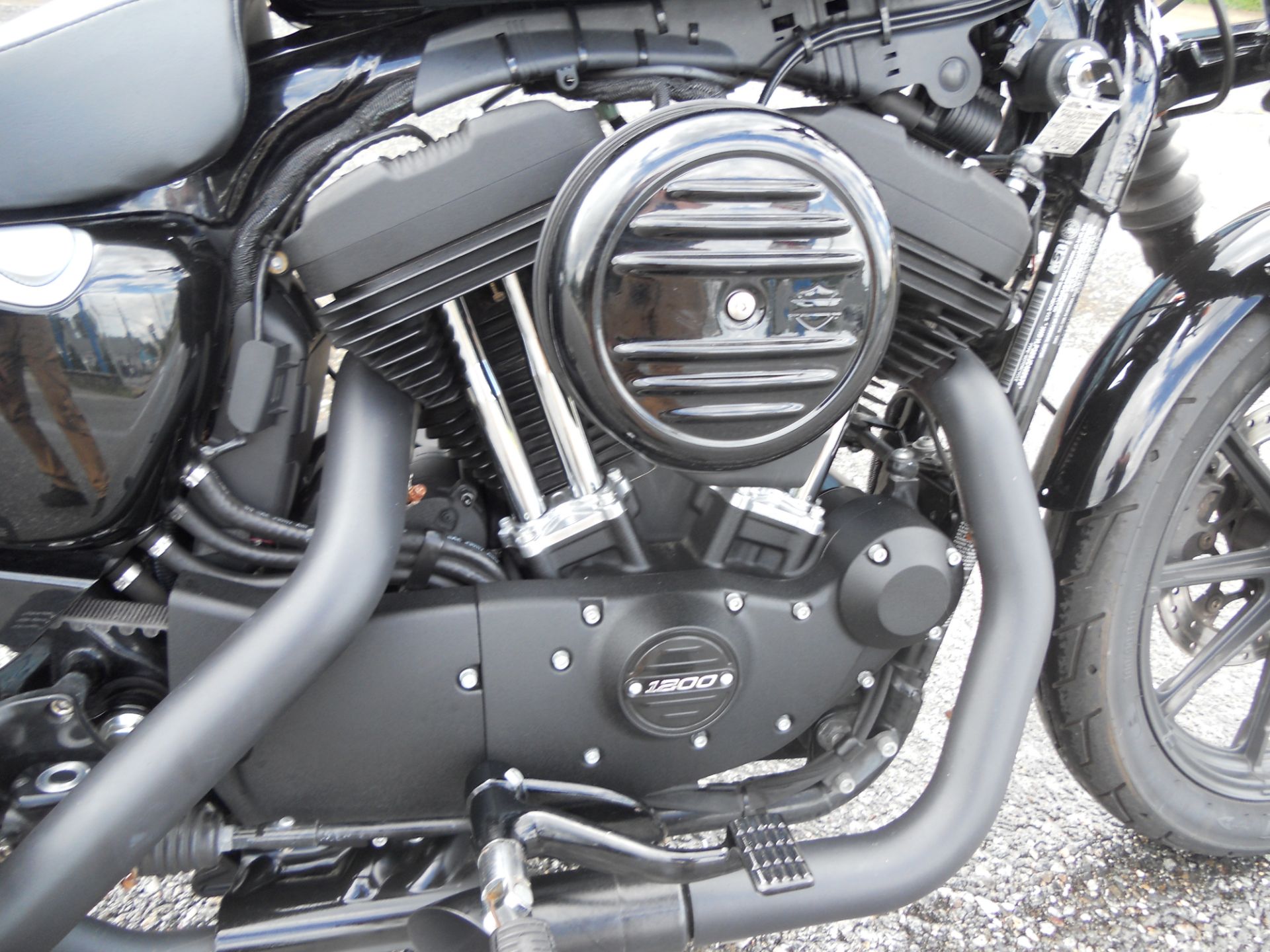 2018 Harley-Davidson Iron 1200™ in Derry, New Hampshire - Photo 4