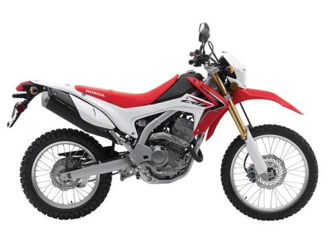 2014 Honda CRF®250L in Hicksville, New York - Photo 2