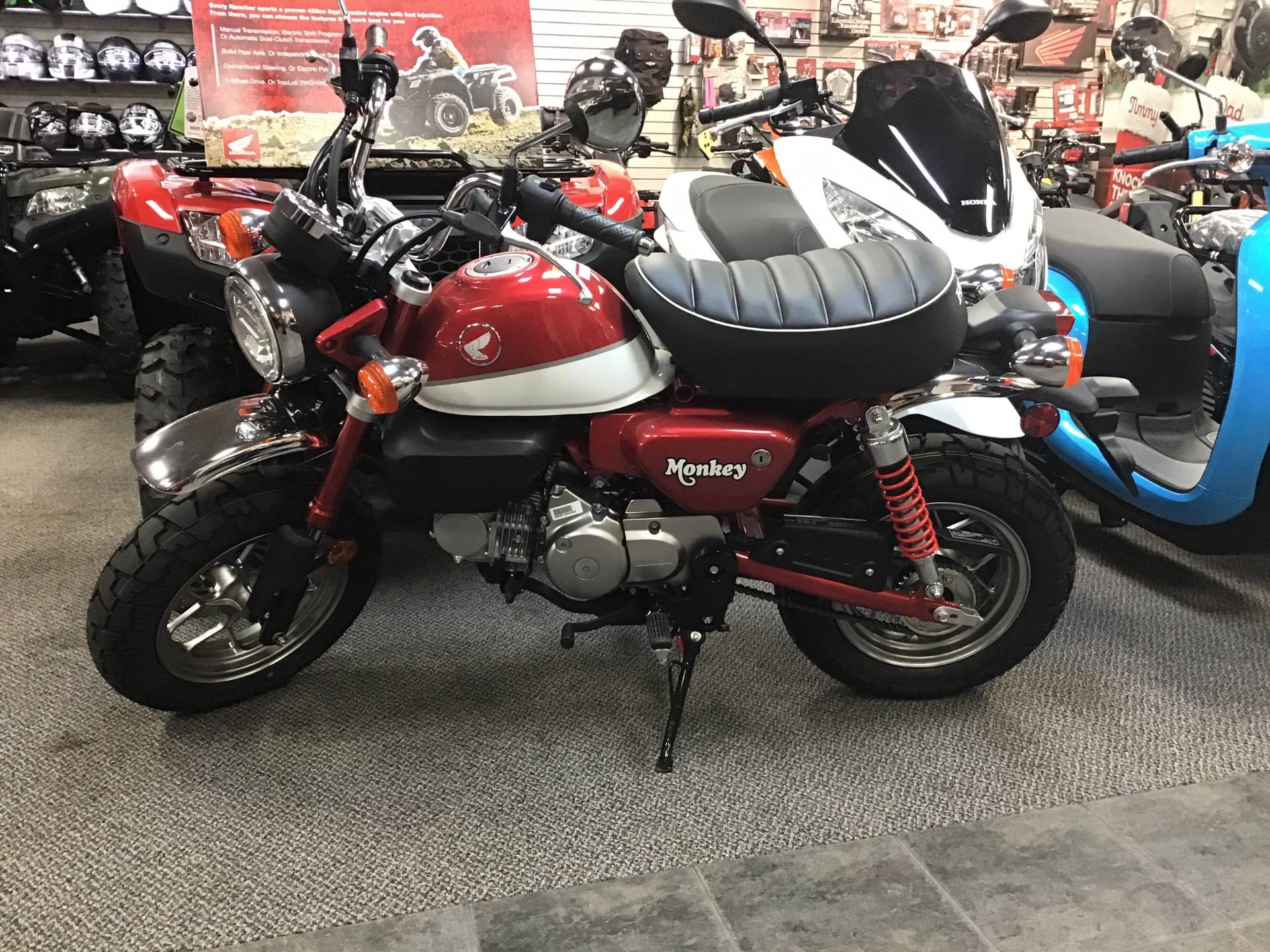 2019 honda monkey for sale