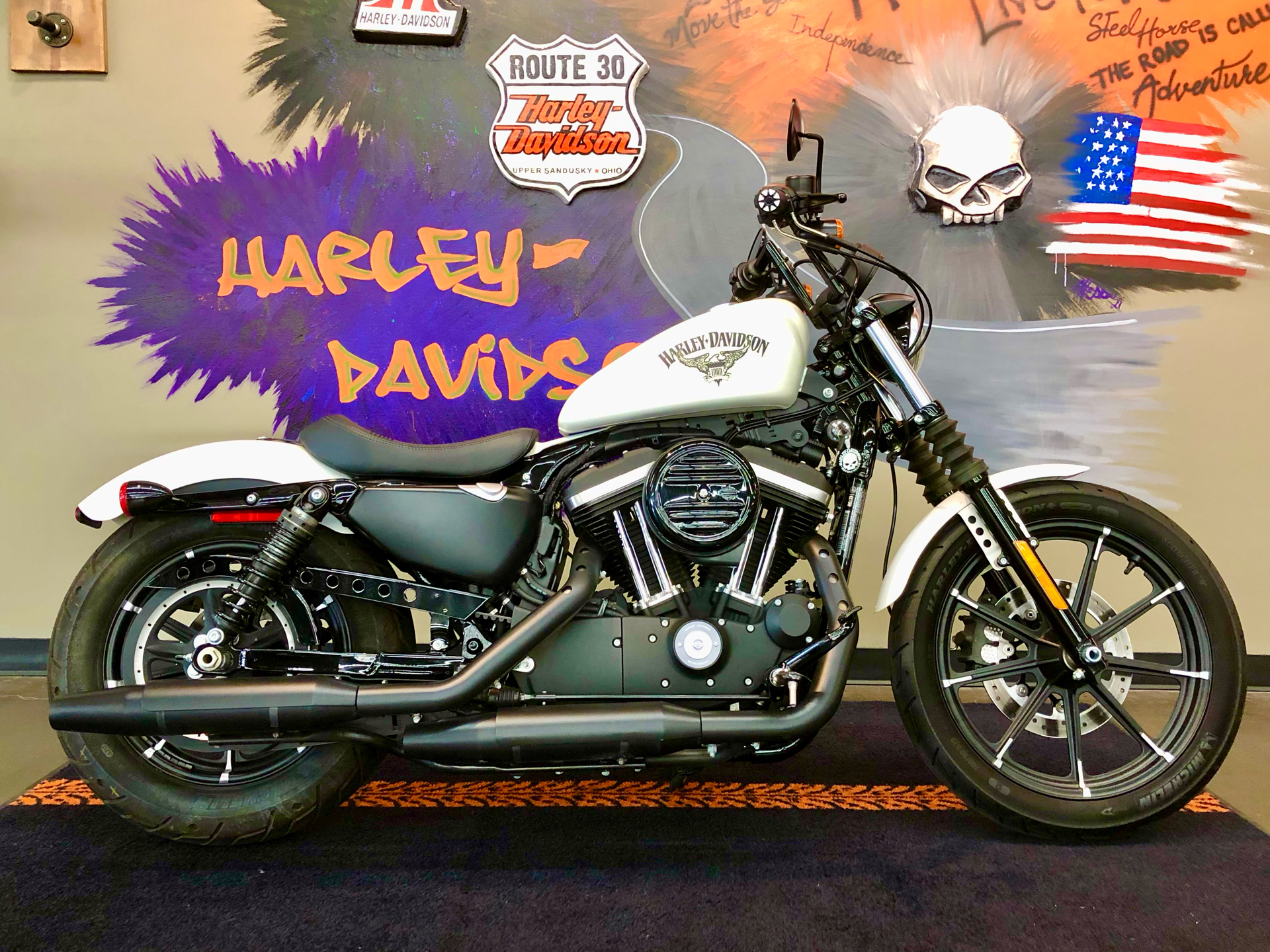 2018 Harley-Davidson Iron 883™ in Upper Sandusky, Ohio - Photo 1