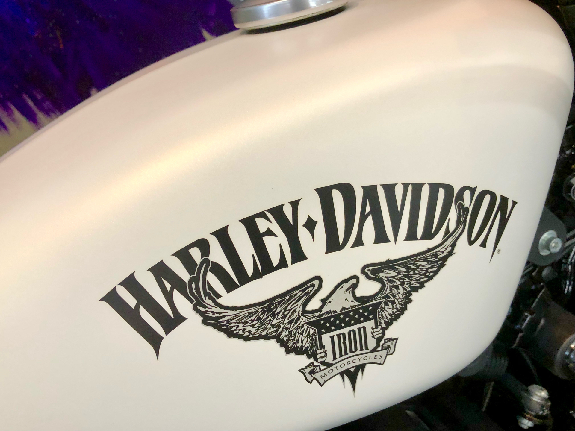 2018 Harley-Davidson Iron 883™ in Upper Sandusky, Ohio - Photo 3