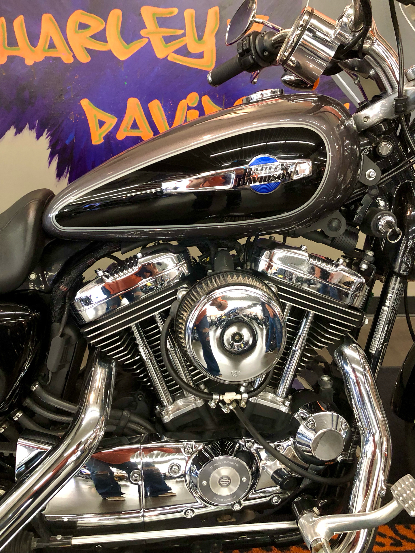 2014 Harley-Davidson 1200 Custom in Upper Sandusky, Ohio - Photo 3