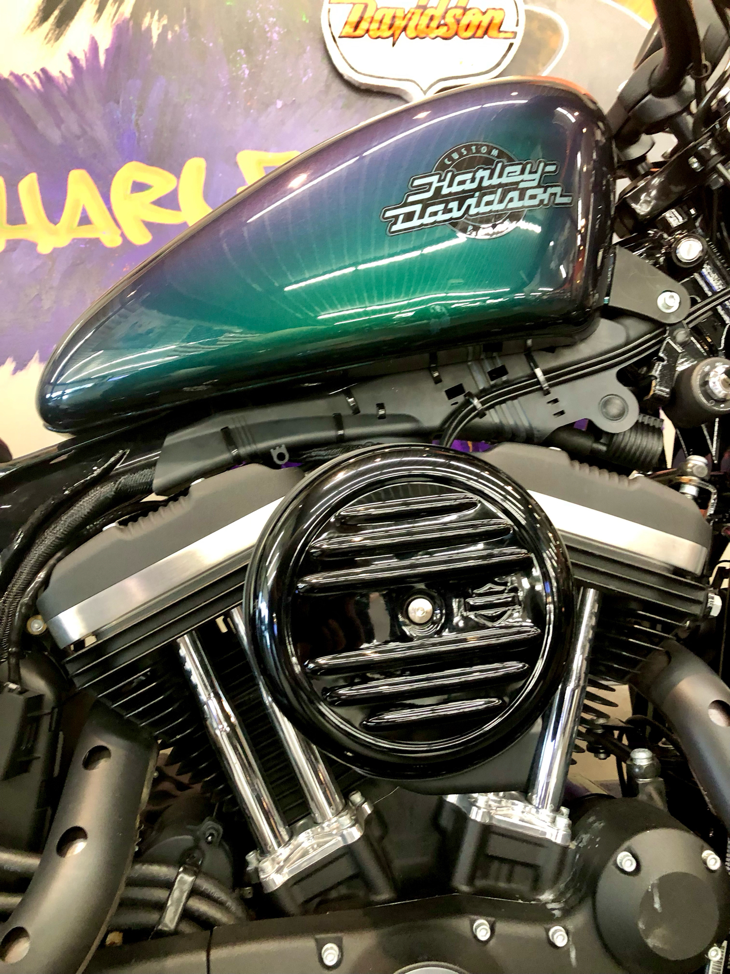 2021 Harley-Davidson Iron 883™ in Upper Sandusky, Ohio - Photo 3
