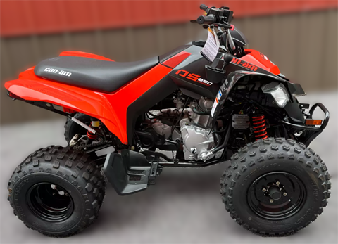 2024 Can-Am DS 250 in Jasper, Tennessee