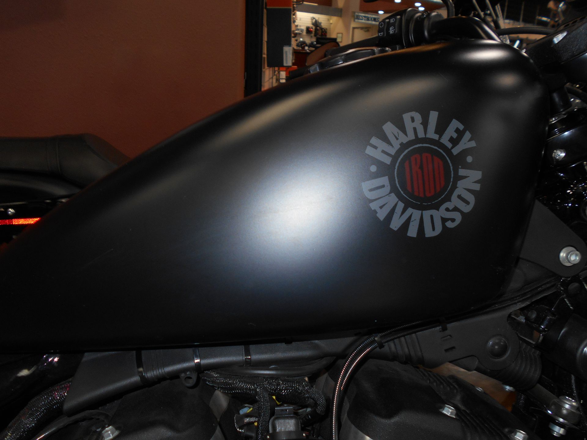 2019 Harley-Davidson Iron 883™ in Mauston, Wisconsin - Photo 2