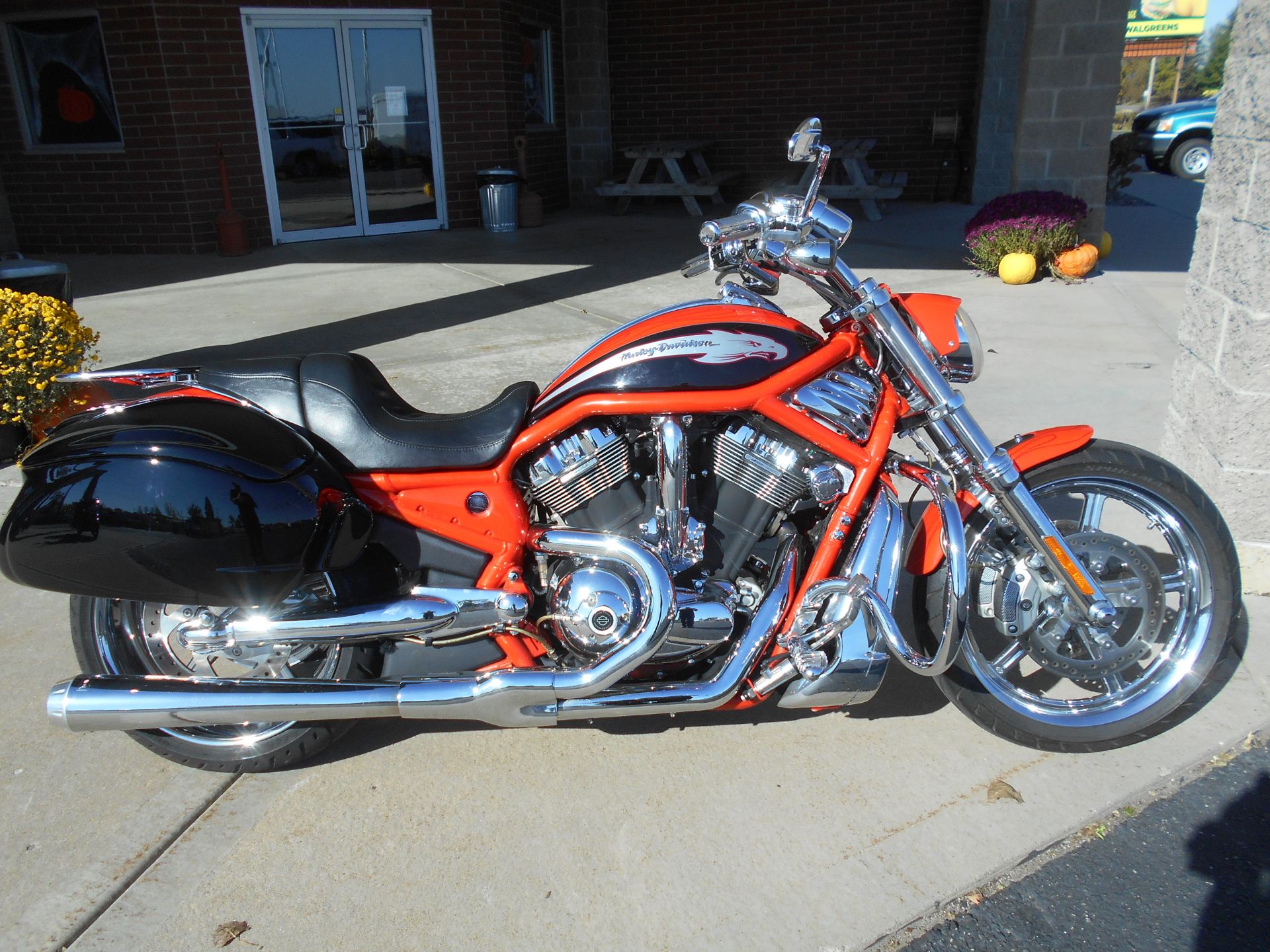 2006 Harley-Davidson CVO™ Screamin' Eagle® V-Rod® in Mauston, Wisconsin - Photo 1