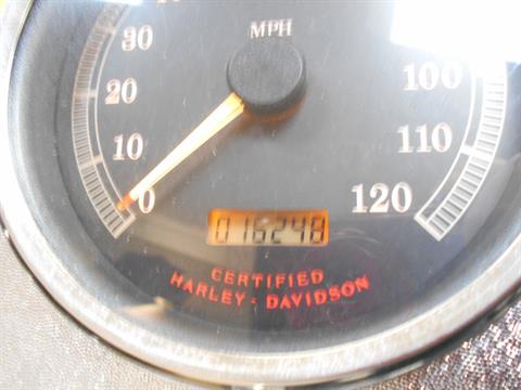 2003 Harley-Davidson FLSTF/FLSTFI Fat Boy® in Mauston, Wisconsin - Photo 9