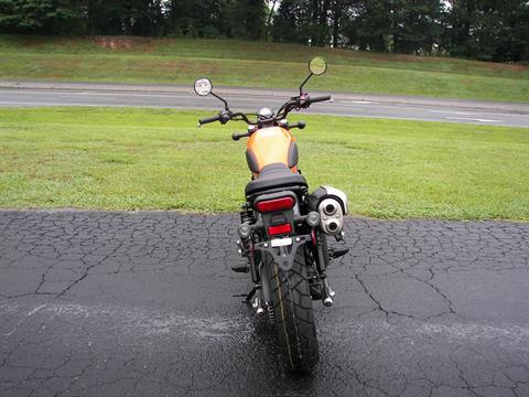 2023 Honda SCL500 in Shelby, North Carolina - Photo 6