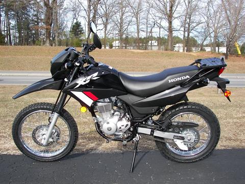 2023 Honda XR150L in Shelby, North Carolina - Photo 6