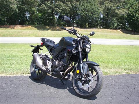 2024 Honda CB300R ABS in Shelby, North Carolina - Photo 3