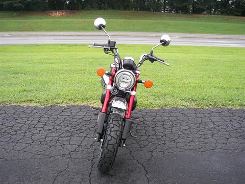 2023 Honda Monkey ABS in Shelby, North Carolina - Photo 5